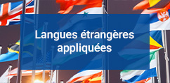 Master Traductions Scientifiques et Techniques (TST)